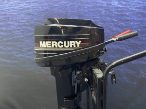 Mercury 8 pk Kortstaart 2 cilinder