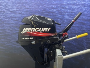 Mercury 8 pk langstaart koopje Langstaart