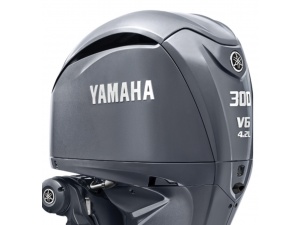 Yamaha F300 B