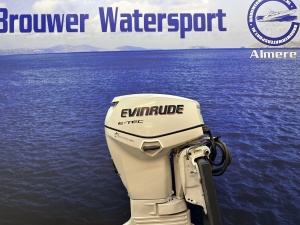 Evinrude 40 pk buitenboordmotor Langstaart powertrim