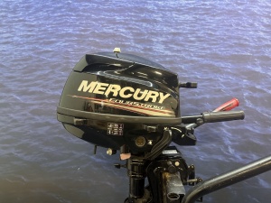 “ Mercury 3.5 | Gebruikt in goede staat | Lichtgewicht “ Kortstaart