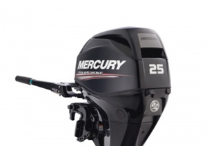 Mercury F25