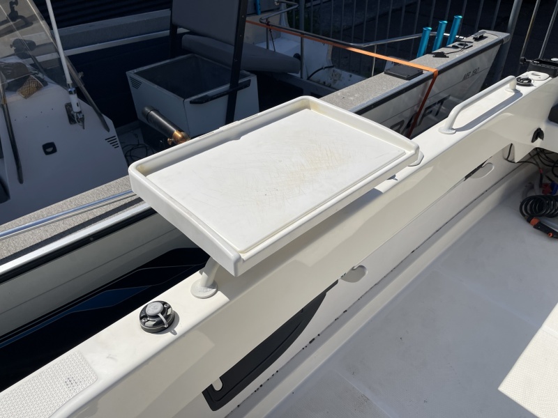 Smartliner 21 Visboot / Sloep Mercury 100 pk buitenboordmotor