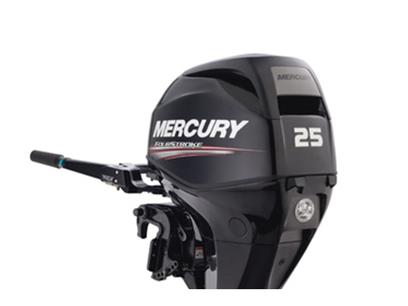 Mercury F30